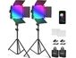Neewer 660 set 2x RGB lumină foto permanentă, 340x rece + 330x cald LED, 50W