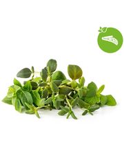 Click and Grow Mix Italských bylin, kapsle se semínky a substrátem 9ks