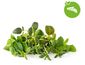 Click and Grow Amestec de ierburi italiene, capsule cu semințe și substrat 9buc