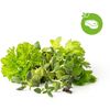 Click and Grow Mix Steak&Grill, капсули със семена и субстрат 9бр.