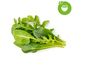 Click and Grow Salate mixte, capsule cu semințe și substrat 9buc