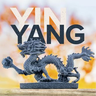 Polymaker Panchroma PLA Doppel-Yin-Yang