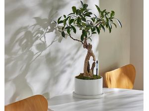 SUStee páratartalom mérő, M méret, 36-os készlet, fekete