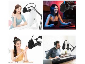 Microfon PULUZ PU612B USB cu suport, suport amortizat și filtru pop