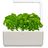 Click and Grow Smart Garden 3 ghiveci inteligent + 3pcs capsule cu semințe de busuioc, bej