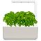 Click and Grow Smart Garden 3 chytrý květináč + 3ks kapslí se semínky bazalky, béžový