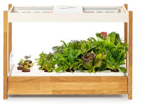 Click and Grow 25, alb