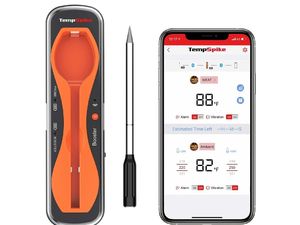 ThermoPro TempSpike