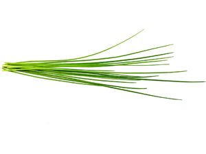 Click and Grow Metélőhagyma, kapszula magokkal és táptalajjal 3db