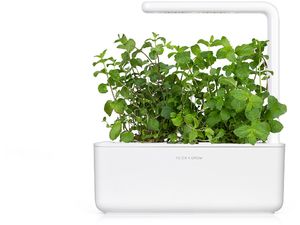 Click and Grow mentă, capsule cu semințe și substrat 3buc