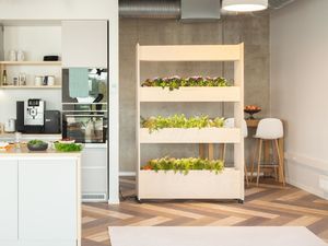 Click and Grow Стенна ферма + комплект за салата