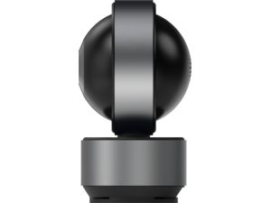 Arenti Überwachungskamera 350°, schwarz