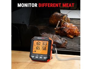 ThermoPro TP-717