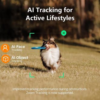 HOHEM iSteady X3 siva