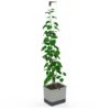 Gusta Garden CURT CUCUMBER - ghiveci cu udare automată, gri deschis