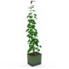 Gusta Garden CURT CUCUMBER ghiveci cu autoapărare, verde