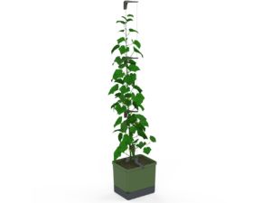 Gusta Garden CURT CUCUMBER самопочистваща се саксия зелена