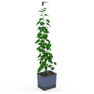Gusta Garden CURT CUCUMBER - ghiveci cu autoapărare, antracit