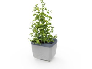 Gusta Garden HERBS BUDDY - ghiveci cu udare automată, gri deschis