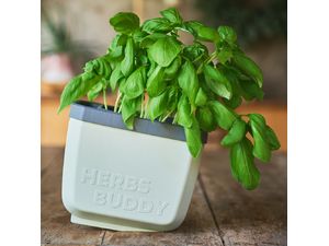 Gusta Garden HERBS BUDDY - ghiveci cu udare automată, gri deschis