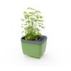 Gusta Garden HERBS BUDDY ghiveci cu autoapărare verde