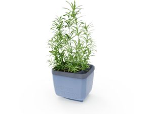 Gusta Garden HERBS BUDDY selbstbewässernder Pflanzkübel anthrazit