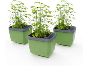 Gusta Garden HERBS BUDDY önitató ültetőedény zöld, 3db a csomagban