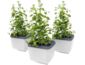 Gusta Garden HERBS BUDDY samozavlažovací truhlík bílý, 3ks v balení
