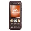 Sony Ericsson W890i