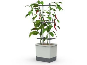 Gusta Garden CHARLY CHILY XL önitató növénytartó világosszürke