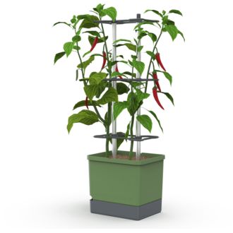 Gusta Garden CHARLY CHILY XL самопочистваща се саксия тъмнозелена