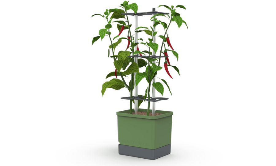 Gusta Garden CHARLY CHILI XL samozavlažovací truhlík tmavě zelený