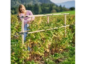 Gusta Garden BERRY BUDDY rozšiřující podpůrná mříž 120cm