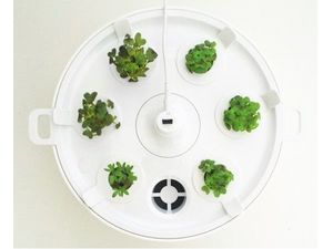 Plantui 6 Smart Garden, intelligens kert, szürke