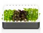 Click and Grow Smart Garden 9 ghiveci inteligent + 9 capsule de semințe, gri