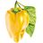 Click and Grow édes sárga paprika, kapszula magokkal és szubsztrátummal 3db