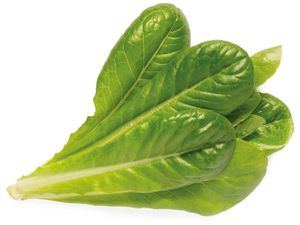 Click and Grow маруля ромейн, капсули със семена и субстрат 9бр.
