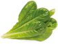 Click and Grow маруля ромейн, капсули със семена и субстрат 9бр.