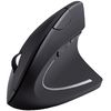 Mouse ergonomic wireless, negru