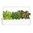 Click and Grow Smart Garden 9 Pro ghiveci inteligent + 9 capsule de semințe, alb