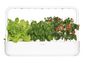 Click and Grow Smart Garden 9 Pro smart pot + 9 Stk. Saatgutkapseln, weiß