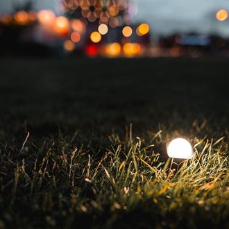 Mirfak Moin Sport Flash Filter