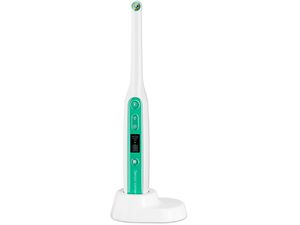 Inskam 401-B, endoscop oral WIFI, USB-C,