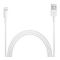 Apple USB kabel s konektorem Lightning 1m, MD818, ekobalení