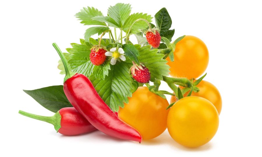 Click and Grow Amestec de fructe și legume, capsule cu semințe și substrat 9buc