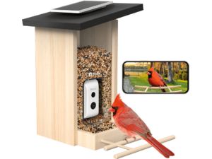 Birdfy Feeder Ebony Lite