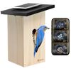 Birdfy House Ebony Lite