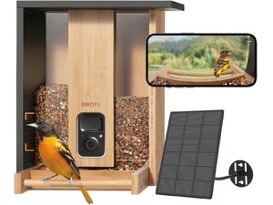 Birdfy Feeder Bamboo AI by Subscription w/ Solar