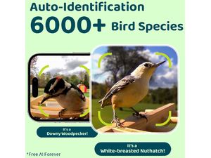 Birdfy Feeder Bamboo AI by Subscription w/ Solar