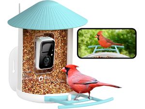 Alimentator Birdfy (AI gratuit pe viață)